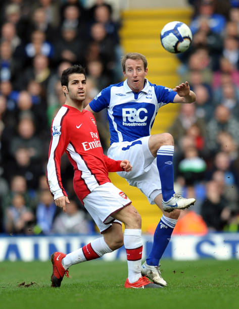 巴雷拉的战 巴雷拉的战